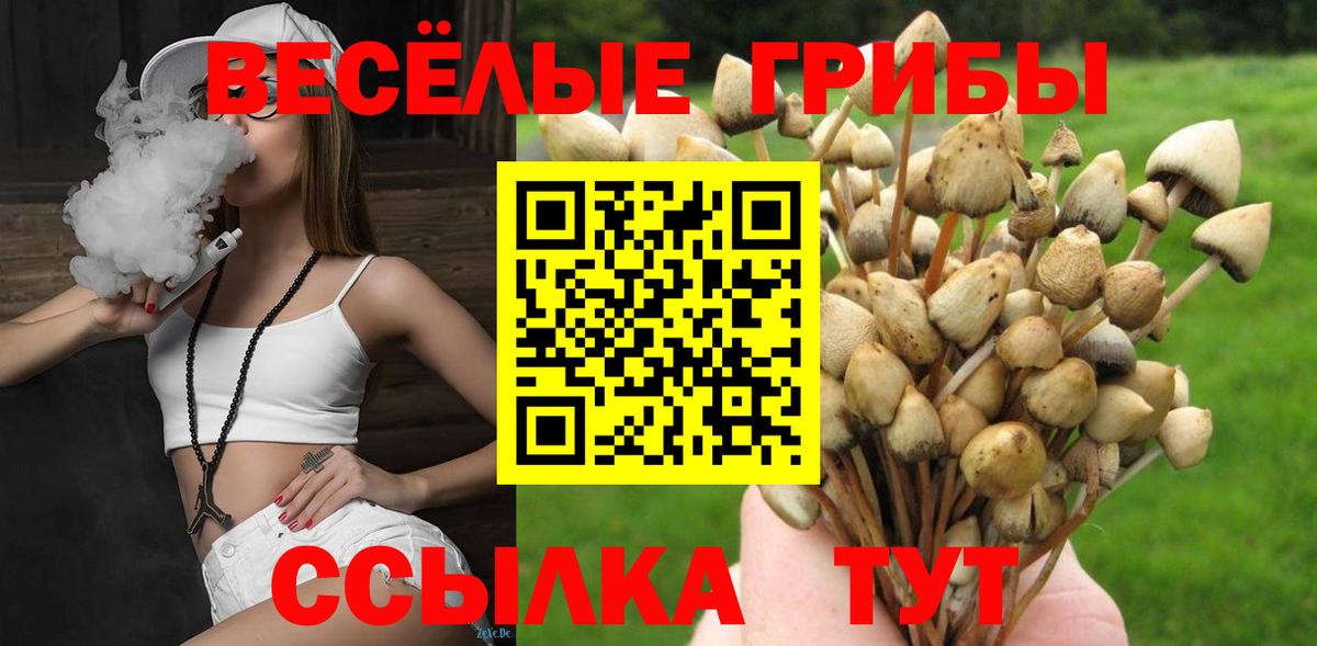 Галлюциногенные грибы Psilocybe  Вход с VPN  Галлюциногенные грибы мицелий  Асбест 